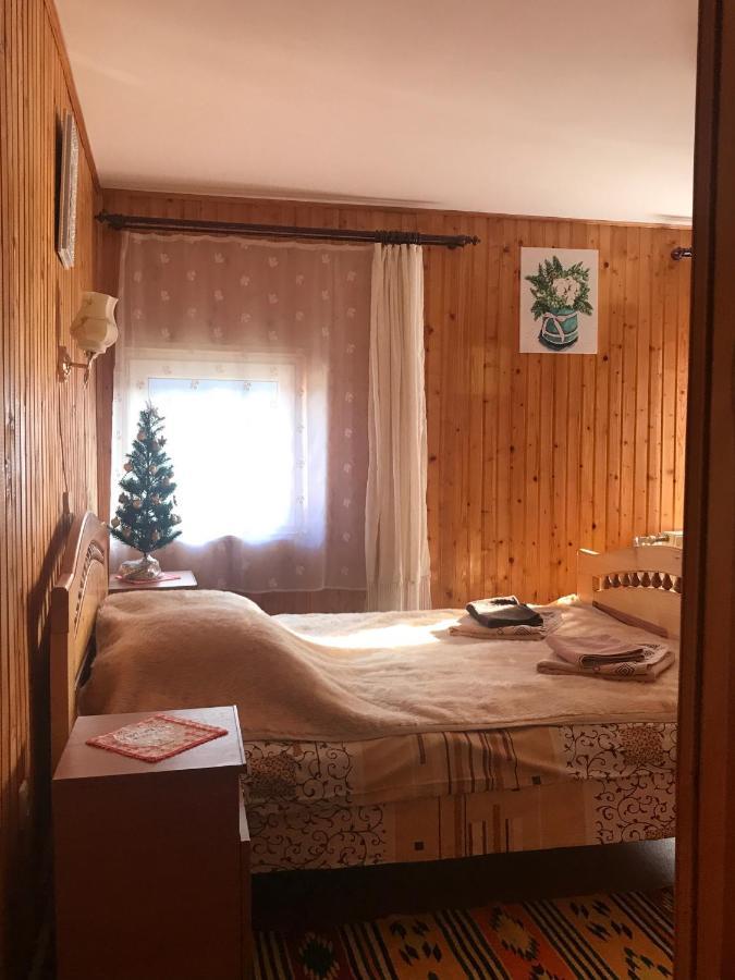 За Горбами Daire Yaremche Dış mekan fotoğraf
