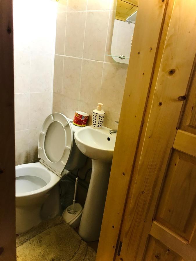 За Горбами Daire Yaremche Dış mekan fotoğraf